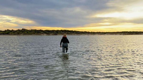Algal bloom threatens the Coorong, but locals have a plan