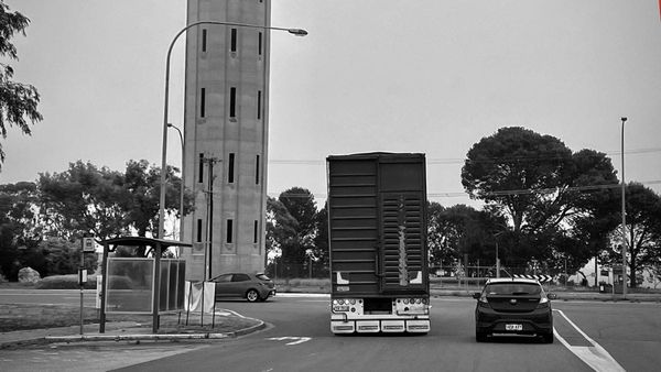 Students take action on Tailem Bend's dangerous intersections
