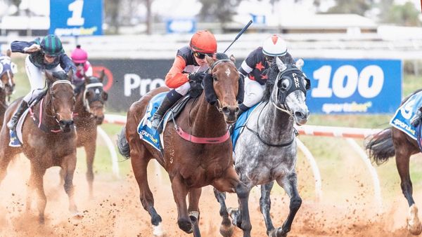 Sports reports: Murray Bridge horses win across the state