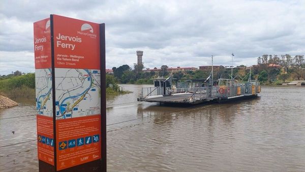 Tailem Bend ferry will be out of service for a day next week