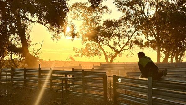 Coorong council will continue drought relief, despite concerns