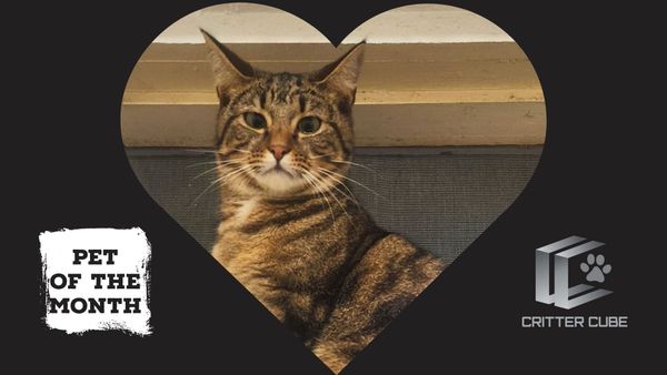 Pet of the month: September 2025