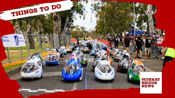 Things to do in the Murraylands: September 19-25, 2025