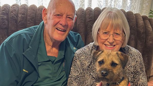 For little hearing assistance dog Ollie, no task is too big