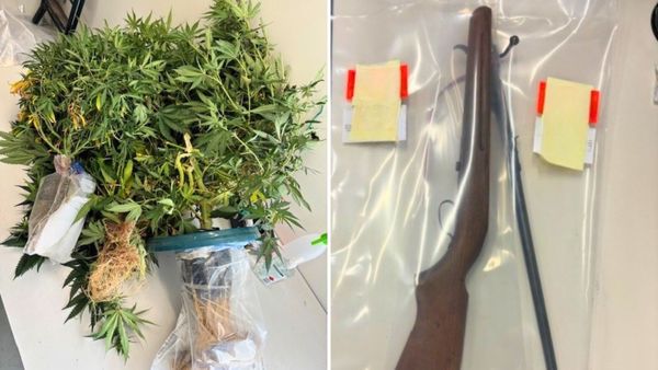 Police seize drugs and gun at Brinkley