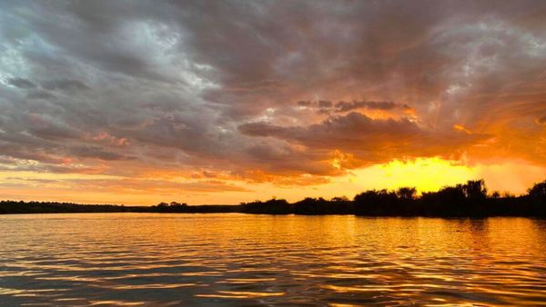 Alarm bells sound as River Murray is listed as critically endangered