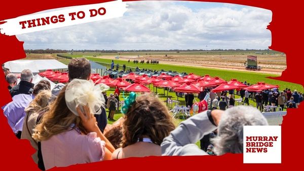 Things to do in the Murraylands: January 16-22