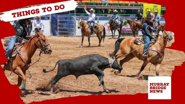 Things to do in the Murraylands: January 23-29, 2026
