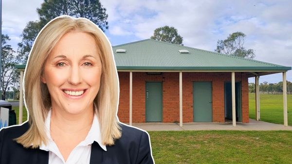 Public toilets need a wee bit of investment, councillors say