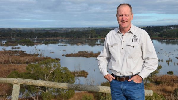 River Murray’s future put up for discussion as Basin Plan review begins