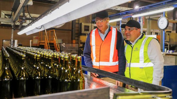 Why MP Tony Pasin backed Angus Taylor in a leadership spill