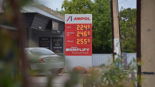 Don’t panic-buy fuel amid price spike, RAA urges