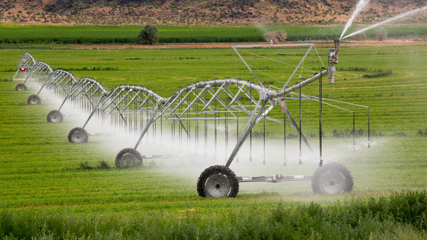 Drought will mean less water for River Murray irrigators in 2026-27
