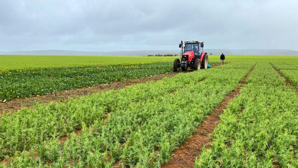 Six Murraylands towns nominated for SA’s Ag Town of the Year Award