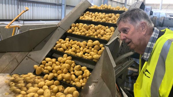 Men’s Probus visits Parilla Premium Potatoes