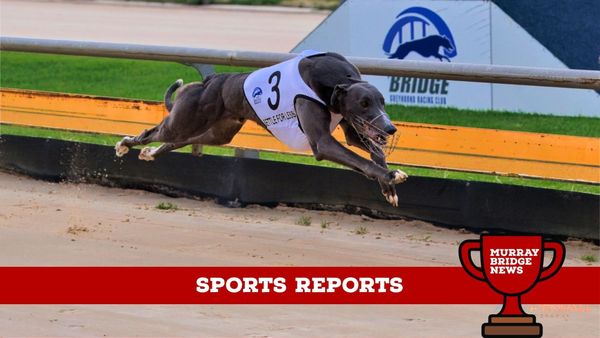 Sports reports: Settle for Less wins straight track cup