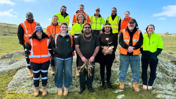 Palmer wind farm construction starts