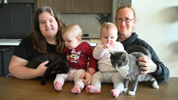 Murray Bridge’s feral cat problem is solvable, volunteers say