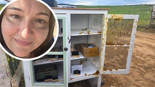 Locals rally around Mannum roadside produce stall after vandal attack