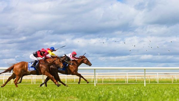 Photographers capture the action at a day at the races