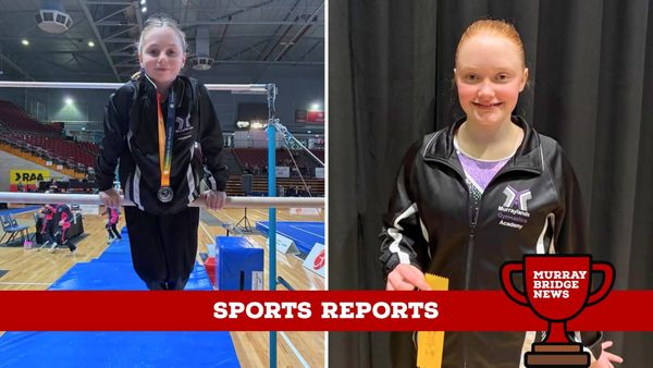 Sports reports: Junior gymnasts do well at state championships