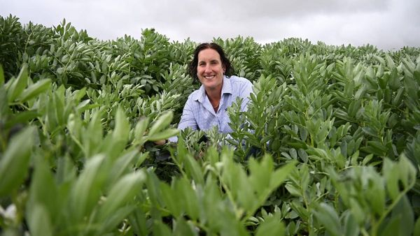 Kylie Matthewson steps into agricultural leadership