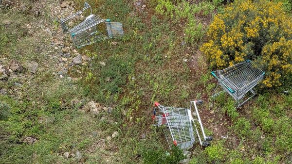 EPA SA declares war on shopping trolleys