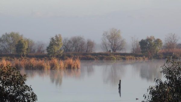 Murray Bridge council watch: November 2021