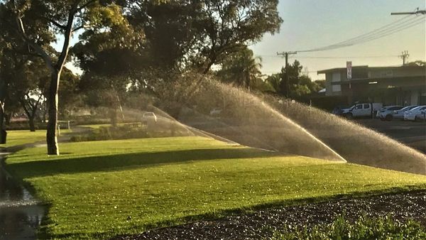 Life Through the Lens: Light and water bring life