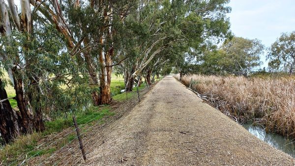Ride of the month: Thiele Reserve to Swanport Wetland