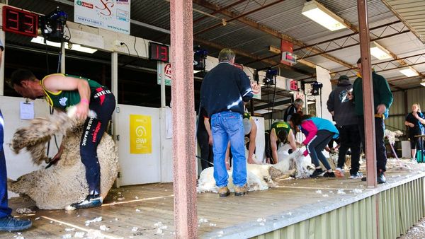 Murray Bridge Show goes off without a hitch