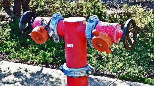 Life Through the Lens: Why put a fire out with a bucket?