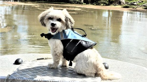 Life Through the Lens: Mr Pants of Bookpurnong returns