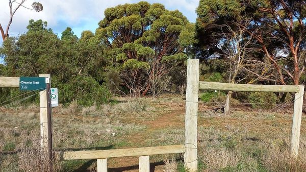 Ride of the Month: Olearia Mountain Bike Trail, Monarto South