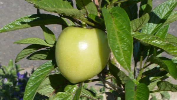 Life Through the Lens: A little enthusiasm goes a long way