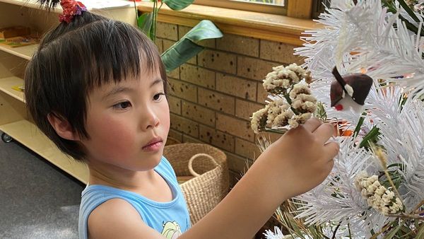 Christmas tree challenge brings out children's creativity