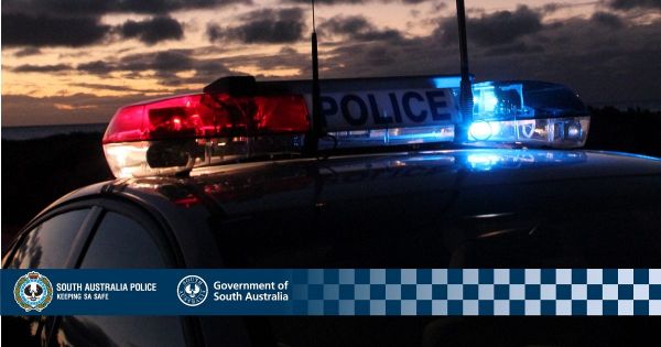 Pedestrian dies after Mallee Highway crash