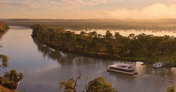 Regional resilience shines as COVID-19 restrictions ease