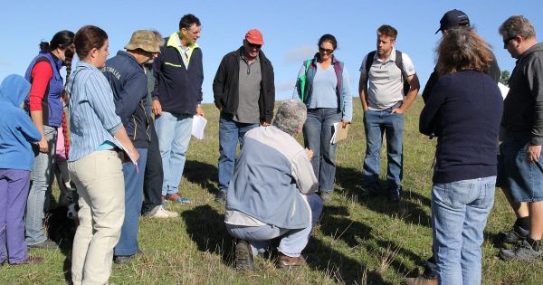 Landscape SA board launches first grant program for the Murraylands 