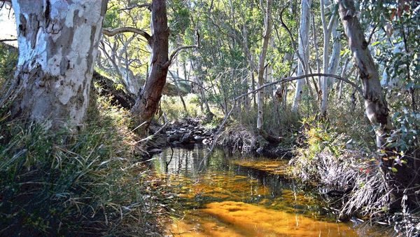 Life Through the Lens: See the unexpected