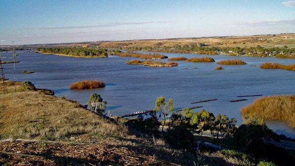 Walk of the Month: Randell Walk, Mannum