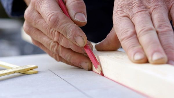 Life Through the Lens: Life-lines