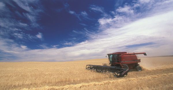 GM crops debate begins in Murray Bridge
