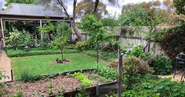 Spring garden competition opens for 2020