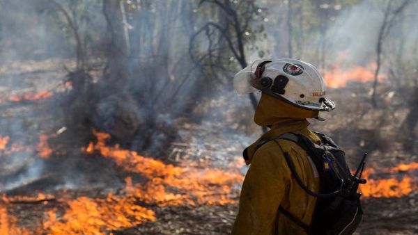 Fire danger season is coming, so clean up your property now, Murray Bridge council warns