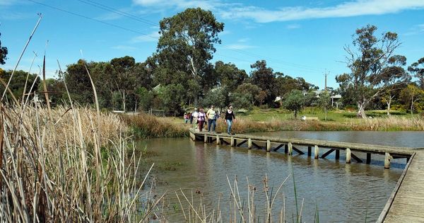 Walk of the month: Riverglades Community Wetland