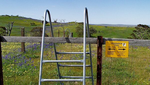 Walk of the Month: Mount Beevor, Tungkillo