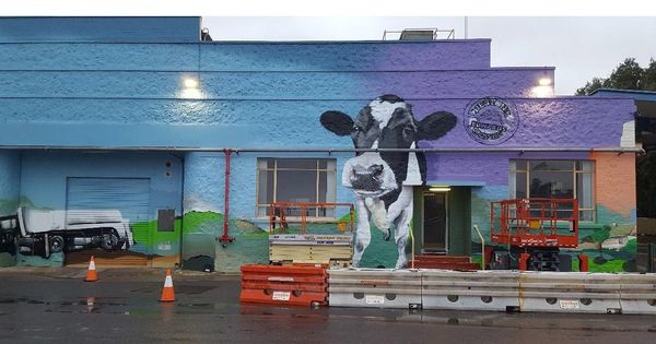 Dairy factory plans to tap into solar power