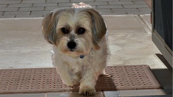 Life Through the Lens: You are welcome, just like Mr Pants of Bookpurnong