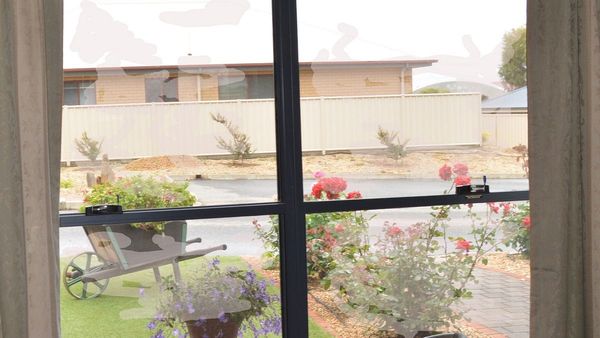 Life Through the Lens: Through the window